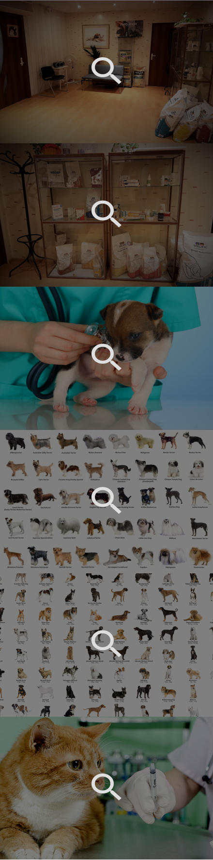      